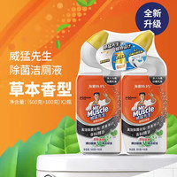威猛先生 Mr Muscle洁厕液600g家用马桶洁厕剂洁厕灵厕所马桶清洁除菌 洁厕剂600g*2 清新雪松