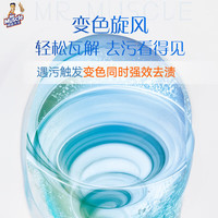 威猛先生 Mr Muscle洁厕液600g家用马桶洁厕剂洁厕灵厕所马桶清洁除菌 强效洁厕剂（丁香型） 600g*2