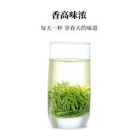 春茶抢新【4月20日】2025新茶信阳毛尖浓香型雨前茶250g【35天内】