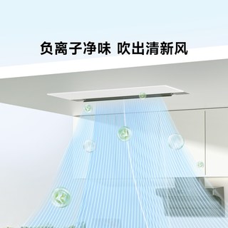 欧普照明 OPPLE欧普 八合一负离子凉霸 LZ02系列