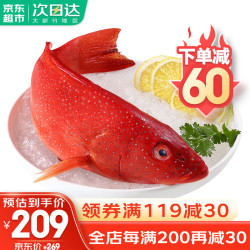 哆鲜生 海捕东星斑 550-650g