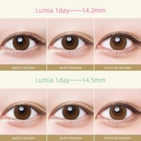 Lumia日抛美瞳14.5mm自然系彩色隐形眼镜10片装持久水润 650