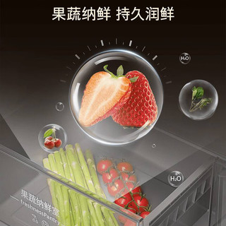西门子 KF88E1761C 双循环风冷无霜 501L 法式多开门冰箱 浩瀚银