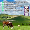  MODERN FARMING/现代牧业 A2β-酪蛋白 纯牛奶