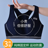 安菲雅高中生运动内衣女防震跑步初中女大童文胸少女纯棉背心 【常备2件装】白色+淡蓝 80/L