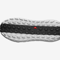 萨洛蒙（Salomon）男士户外鞋徒步舒适透气SOLAMPHIBIAN 透气平底鞋涉水鞋 White 鞋内长25.5cm