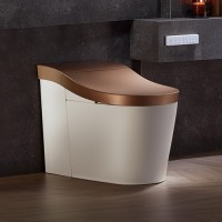科勒 KOHLER 星朗智能马桶家用一体智能坐便器自动感应冲水 （前净柔泉版）305坑距隐藏版