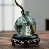 佰花锦水培植物室内花卉绿植盆栽办公室四季常青好养活桌面盆景懒人首选 水培小玻璃瓶+文竹+圆形底座 整体高度约10-20cm/不同植物高度不同
