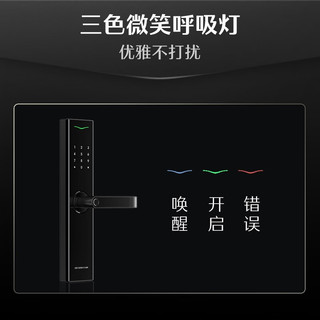 德施曼 E25 C级锁芯 高端黑 智能门锁