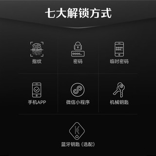 德施曼 E25 C级锁芯 高端黑 智能门锁
