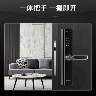德施曼 E25 C级锁芯 高端黑 智能门锁