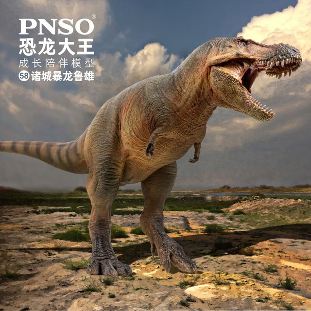 PNSO 诸城暴龙 鲁雄恐龙大王成长陪伴模型58