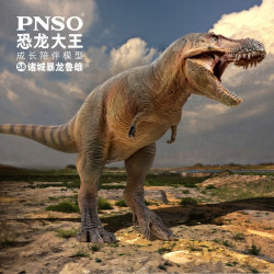 PNSO 诸城暴龙 鲁雄恐龙大王成长陪伴模型58