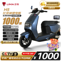 立马电动车 立马 LM1500DT-69 电动摩托车 100153920033 1500w电机