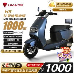 立马电动车 立马 LM1500DT-69 电动摩托车 100153920033 1500w电机