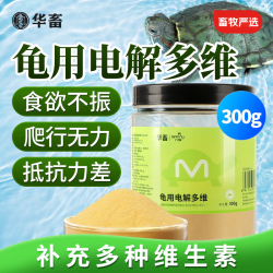 华畜 huaxu 电解多维 电解质 乌龟专用补维生素VC矿物质营养益生菌 300g