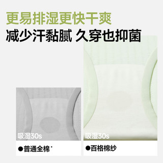 蕉下（beneunder）A类安心纯棉内裤女士100%棉无痕抗菌抑菌底档三角裤3条装 