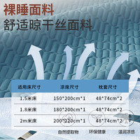 意尔嫚 泰国乳胶凉席 双人三件套 典雅蓝180*200cm【可水洗】 【A类乳胶冰丝席】雅典蓝