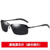 爱.唯依 IVE 爱．唯依 3043-1 男款变色太阳眼镜