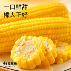 农垦雁窝岛 农垦东北黑糯甜玉米新鲜黄糯玉米粗粮真空装粘玉米棒代餐低脂10根