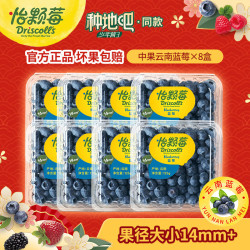 怡颗莓 国产蓝莓小果 125g*10盒