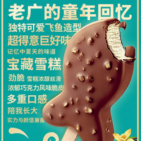 Nestle雀巢经典飞鱼香草味巧克力脆皮冰淇淋冰激凌雪糕冷饮