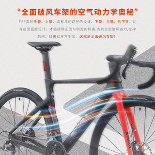  SAVA/萨瓦 超轻 公路自行车 碳纤维前叉  黑焰红【R4700-纯油碟】 20速 S