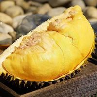 尹福记无壳有核泰国猫山王榴莲肉冷冻果肉介意果核大小慎拍 泰国 猫山王 果肉 1盒500克(拍2盒合发)
