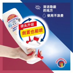 大公鸡管家 油污净 多功能清洁 油污净（马赛香）600ml*2瓶
