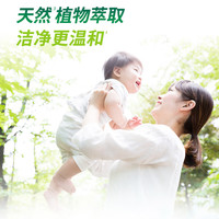 Walch威露士洗衣液La有氧洗除菌除螨洁净补充袋装松木整箱 【16斤装】松木2L*4瓶