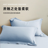 然牌新疆棉枕套一对装 100%纯棉简约纯色家用枕头套 浅灰蓝 48*74cm
