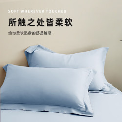 然牌 新疆棉枕套一对装 100%纯棉简约纯色家用枕头套 浅灰蓝 48*74cm