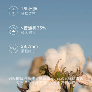 然牌 新疆棉花被子 单人春秋季棉被棉絮 夏被 3斤1.5x2米 新疆棉3斤 150cm*200cm