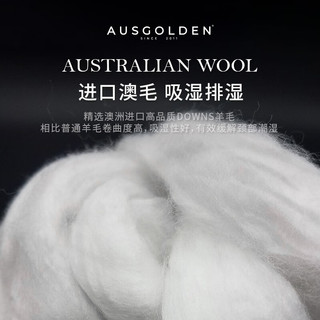 AUSGOLDEN澳洲亲肤羊毛胖枕A类抗菌五星级酒店枕头睡眠记忆枕头 香金 胖枕一对