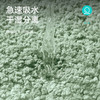 大江 DAJIANG 浴室地垫卫生间加厚吸水垫家用卫浴门口脚垫厕所防滑垫  40x60cm