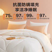 罗莱生活 LUOLAI  被子被芯 A类抗菌50%大豆纤维保暖冬被约4.4斤 JDear京东 冬被【50%大豆 A类抗菌】