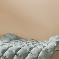 罗莱生活 LUOLAI 家纺鹅绒被95%鹅绒冬被高蓬保暖羽绒被子 95鹅绒-星河 绿色 1.8米床/220*250cm 冬被(适宜室内温度0-10°C)