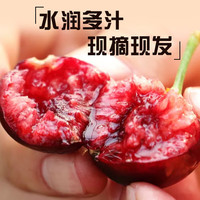 京鲜生 山东樱桃/车厘子 3J级/12g+ 净重1.8斤 生鲜水果 源头直发 1.8斤(净重) 3J特大果