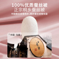 钱皇 暖宝被被芯家纺100%桑蚕丝被春秋被子母被全棉面料保暖助眠抑菌  1.8米/2.0米床(220*240cm）