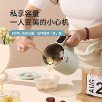 乐炖 智能调温 便携式烧水壶 浅绿 0.8L