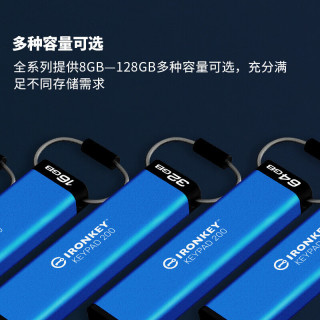 金士顿（Kingston）32GB U盘 IKKP200 256位AES硬件数字加密 金属外壳 读速145MB/s 一年只换不修