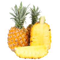 美香农场 广东湛江徐闻香水菠萝  1个装  1.5-2斤