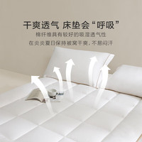 罗莱生活 LUOLAI 100%棉花床垫子新疆棉床垫褥子宿舍垫被抗菌洁净加厚软垫 棉朵朵·A类新疆棉床垫 90*200cm