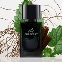 BURBERRY博柏利先生英伦男士香氛香水