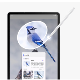 SAMSUNG 三星 Galaxy Tab S10 FE 10.9英寸 Android 平板电脑（2304*1440、12GB、256GB、5G+WIFi版、清雅灰）