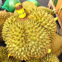 芫曦榴莲金枕新鲜果整箱一整个带壳泰国巴掌金枕头榴莲一箱 【商超级】50年精选树果 【报恩果王】8-9斤(1-2个)包4-6房