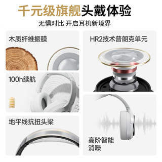 rose technics 弱水时砂 寒武纪 头戴式降噪双模耳机 砂石黑 Type-C 标准版