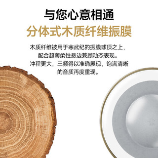 rose technics 弱水时砂 寒武纪 头戴式降噪双模耳机 砂石黑 Type-C 标准版