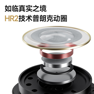 rose technics 弱水时砂 寒武纪 头戴式降噪双模耳机 砂石黑 Type-C 标准版