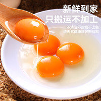 新鲜农家散养谷物蛋土鸡蛋柴鸡蛋营养丰富天然柴鸡蛋